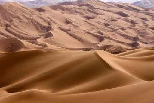 Sand Dunes Wall Decal