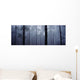 Pine Trees In Cloud In The 'forest Corona' Wall Mural