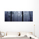 Pine Trees In Cloud In The 'forest Corona' Wall Mural
