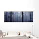 Pine Trees In Cloud In The 'forest Corona' Wall Mural