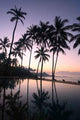 Coconut Trees Sunrise Wall Decal