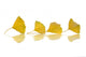 Four Yellow Ginkgo Biloba Leaves Wall Decal