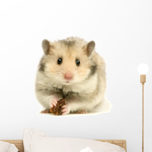 hamster Wall Decal