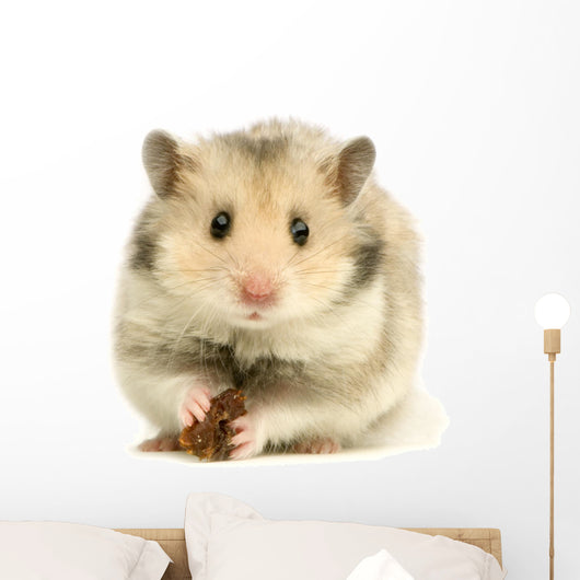 hamster Wall Decal