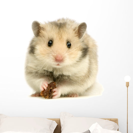 hamster Wall Decal