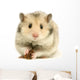 hamster Wall Decal
