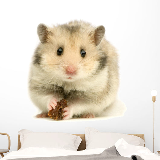 hamster Wall Decal