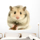 hamster Wall Decal