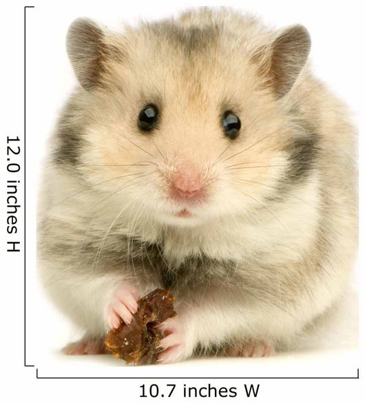 hamster Wall Decal