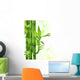 Bamboo Border Wall Mural