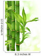 Bamboo Border Wall Mural