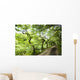 Dirt Road Through Woods Wall Mural