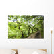 Dirt Road Through Woods Wall Mural