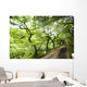 Dirt Road Through Woods Wall Mural
