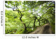 Dirt Road Through Woods Wall Mural