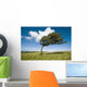 Wind-Swept Solitary Tree On Open Grassy Moorland Wall Mural