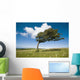 Wind-Swept Solitary Tree On Open Grassy Moorland Wall Mural