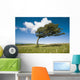 Wind-Swept Solitary Tree On Open Grassy Moorland Wall Mural