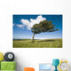 Wind-Swept Solitary Tree On Open Grassy Moorland Wall Mural