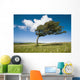 Wind-Swept Solitary Tree On Open Grassy Moorland Wall Mural