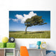 Wind-Swept Solitary Tree On Open Grassy Moorland Wall Mural