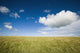 Grassy Field On Hill With Blue Skies And Clouds Wall Mural