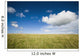 Grassy Field On Hill With Blue Skies And Clouds Wall Mural