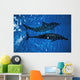 Two Spinner Dolphins In Ocean Wall Mural