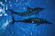 Two Spinner Dolphins In Ocean Wall Mural