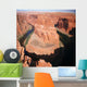 Horseshoe Bend, Arizona, USA Wall Mural