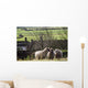 Three Sheep In A Field With Stone Houses And Pastures Wall Mural
