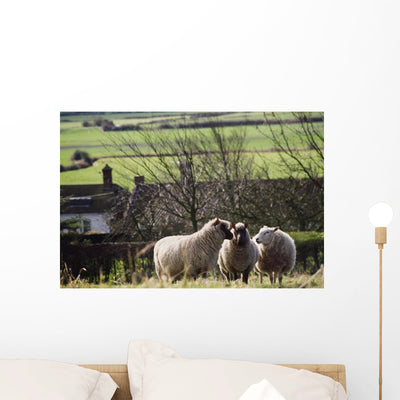 Three Sheep Field with Wall Mural shown on a wall