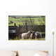Three Sheep In A Field With Stone Houses And Pastures Wall Mural
