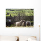 Three Sheep In A Field With Stone Houses And Pastures Wall Mural