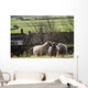 Three Sheep In A Field With Stone Houses And Pastures Wall Mural