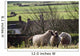Three Sheep In A Field With Stone Houses And Pastures Wall Mural