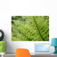 Plant Detail, Close Up Wall Mural