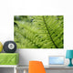 Plant Detail, Close Up Wall Mural