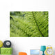 Plant Detail, Close Up Wall Mural