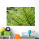 Plant Detail, Close Up Wall Mural