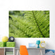 Plant Detail, Close Up Wall Mural