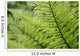 Plant Detail, Close Up Wall Mural