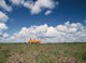 Campervan Going Down Road In Front Of Heather In Flower Wall Mural
