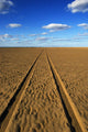 Car Tracks On A Deserted Sandy Beach Wall Mural