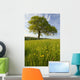 Solitary Oak Tree And Wildflowers In Field Wall Mural