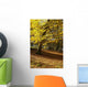 Yellow Leaves On Trees In Forest Wall Mural