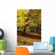 Yellow Leaves On Trees In Forest Wall Mural