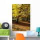 Yellow Leaves On Trees In Forest Wall Mural