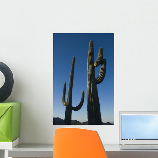 Two Saguaro Cacti In The Sonoran Desert Wall Mural