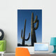 Two Saguaro Cacti In The Sonoran Desert Wall Mural